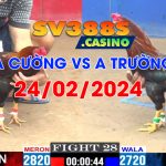 anh cuong vs a truong 24/02/2024
