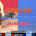 my leu vs phuong toc dai