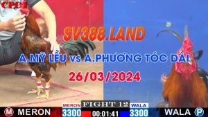 my leu vs phuong toc dai