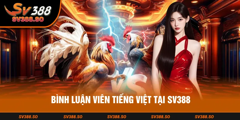 Các bình luận viên có chuyên môn