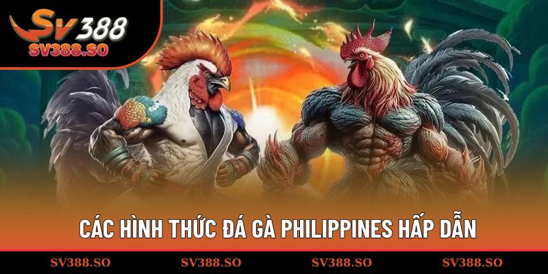 Các hình thức đá gà Philippines hấp dẫn