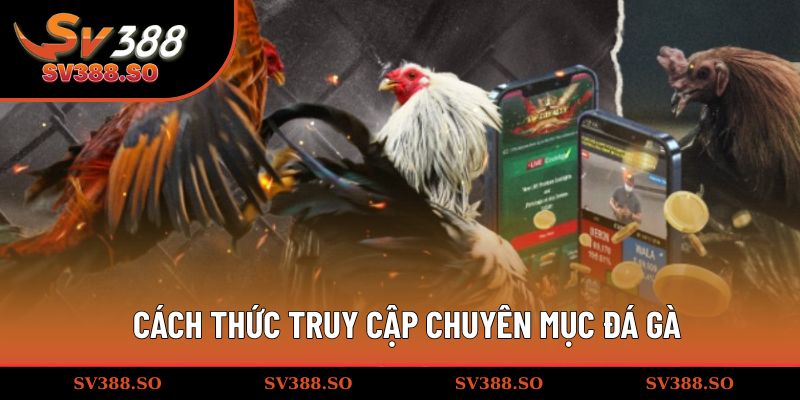 Cách thức truy cập chuyên mục đá gà