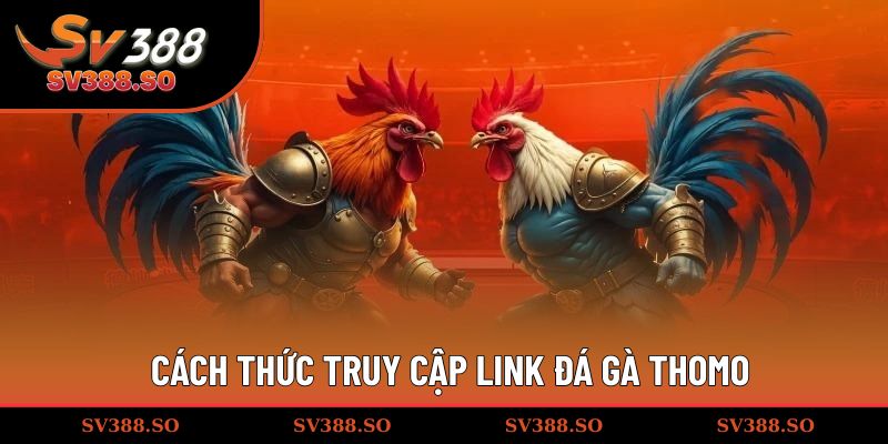 Cách thức truy cập link đá gà Thomo