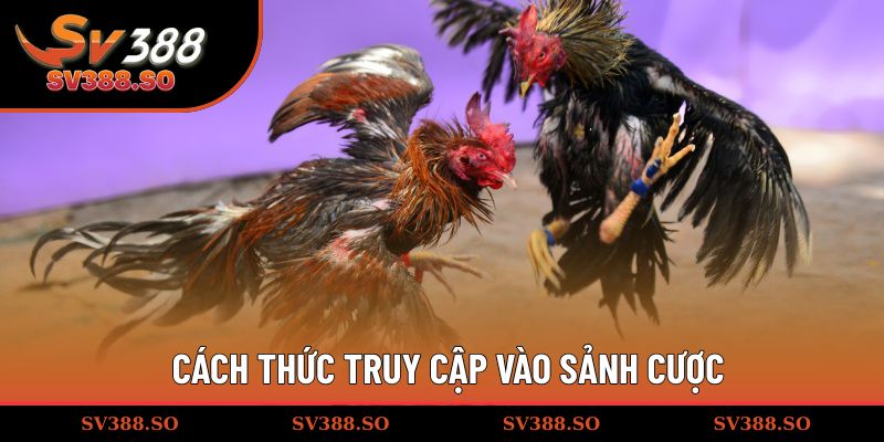 Cách thức truy cập vào sảnh cược
