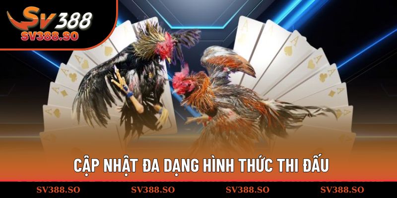 Cập nhật đa dạng hình thức thi đấu