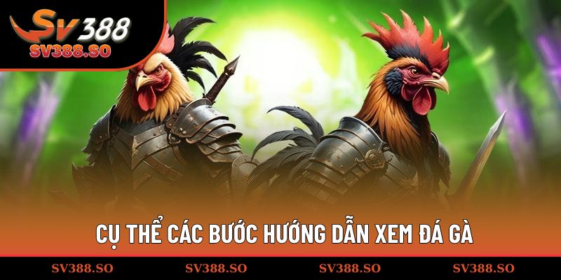 Cụ thể các bước hướng dẫn xem đá gà