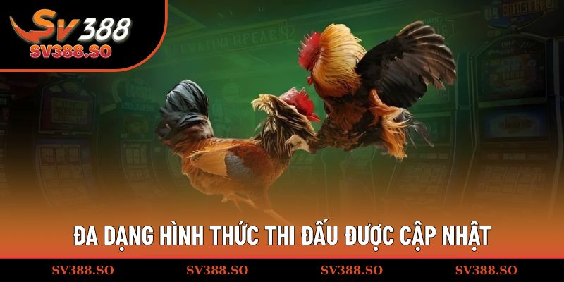 Đa dạng hình thức thi đấu được cập nhật