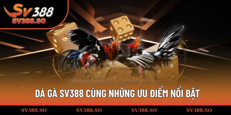 Đá gà SV388 cùng những ưu điểm nổi bật
