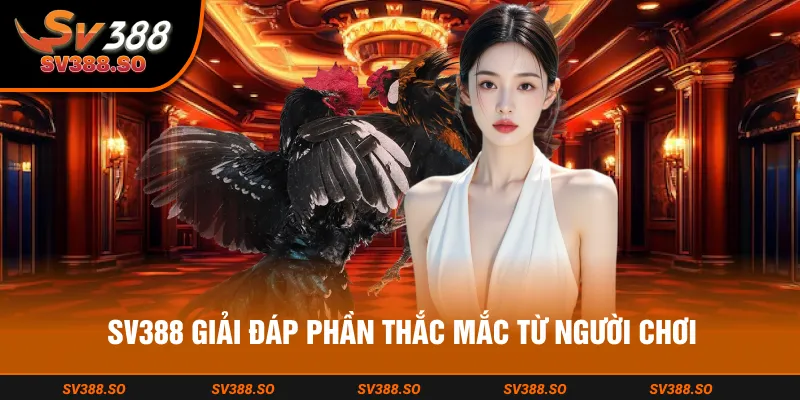SV388 giải đáp phần thắc mắc từ người chơi