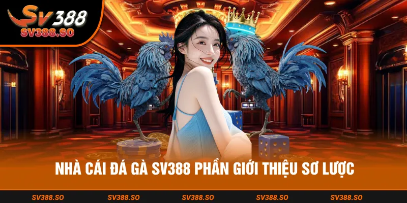 SV388 cùng quá trình tạo dựng vị thế