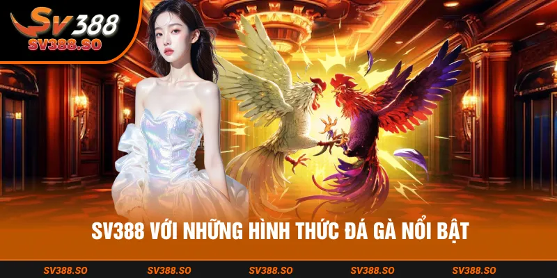 Cung cấp nhiều loại hình thi đấu đá gà