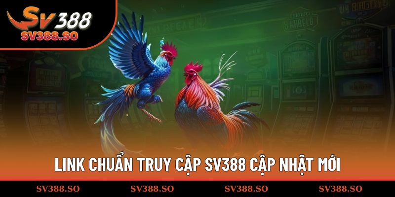 Link chuẩn truy cập SV388 cập nhật mới