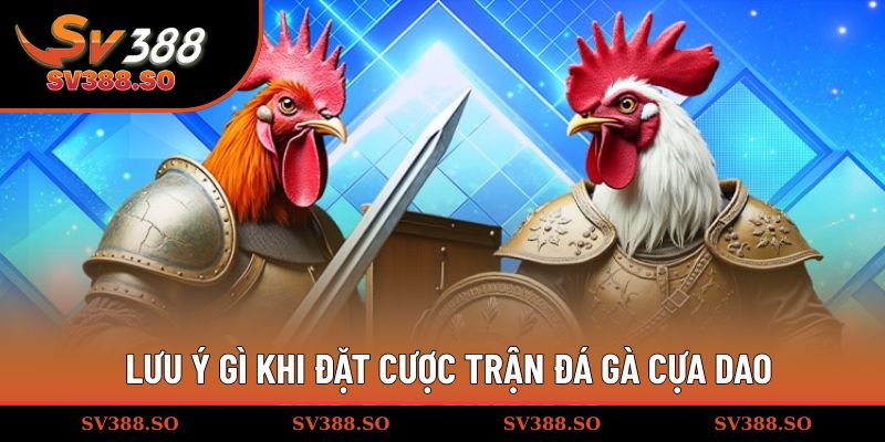 Lưu ý gì khi đặt cược trận đá gà cựa dao
