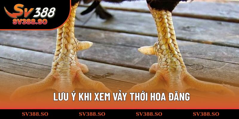 Lưu ý quan trọng khi xem gà hoa đăng