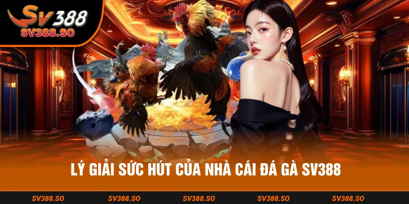 Điểm danh những ưu điểm hấp dẫn của nhà cái đá gà