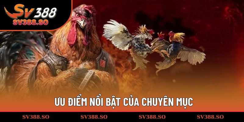 Ưu điểm nổi bật của chuyên mục