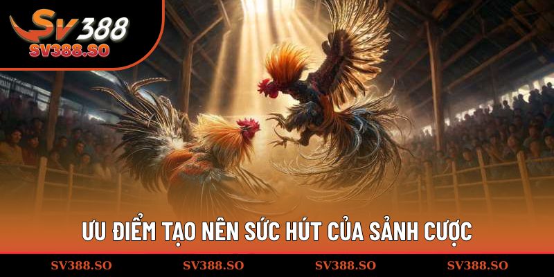 Ưu điểm tạo nên sức hút của sảnh cược