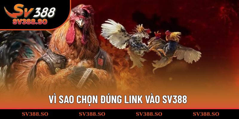 Vì sao chọn đúng link vào SV388?